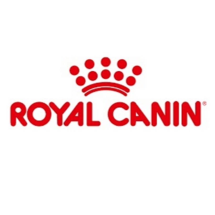 Royal Canin TÃ¼rkiye YouTube channel avatar