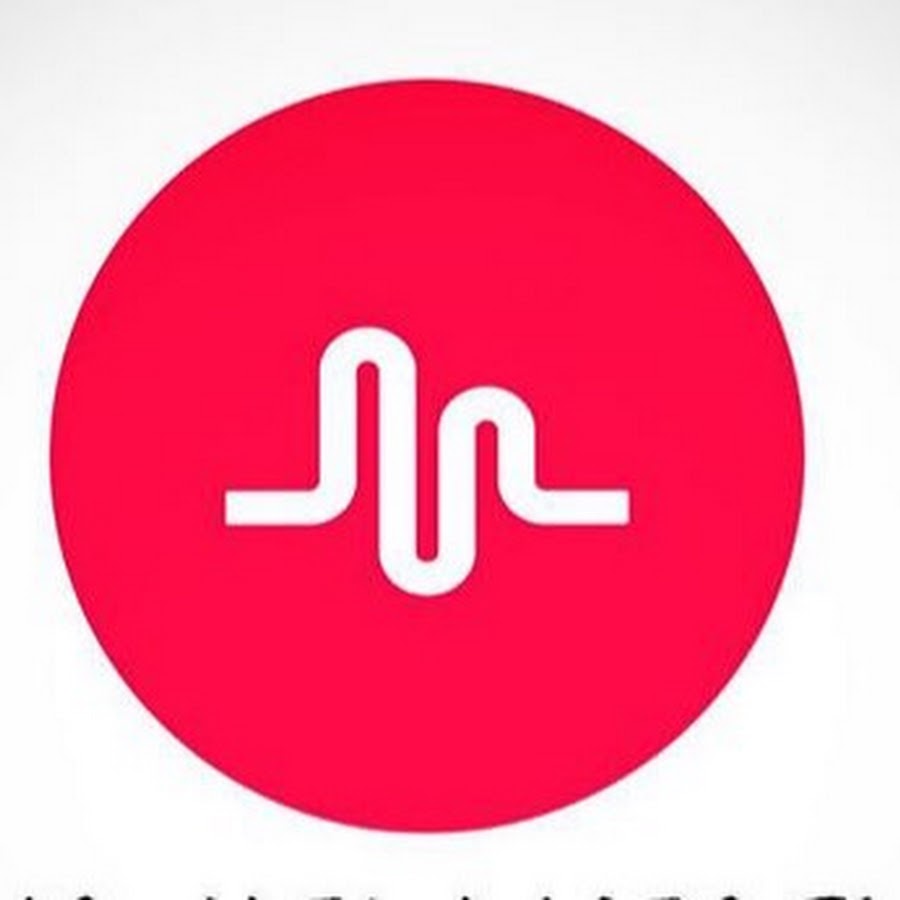 Musical.ly Vidz YouTube 频道头像