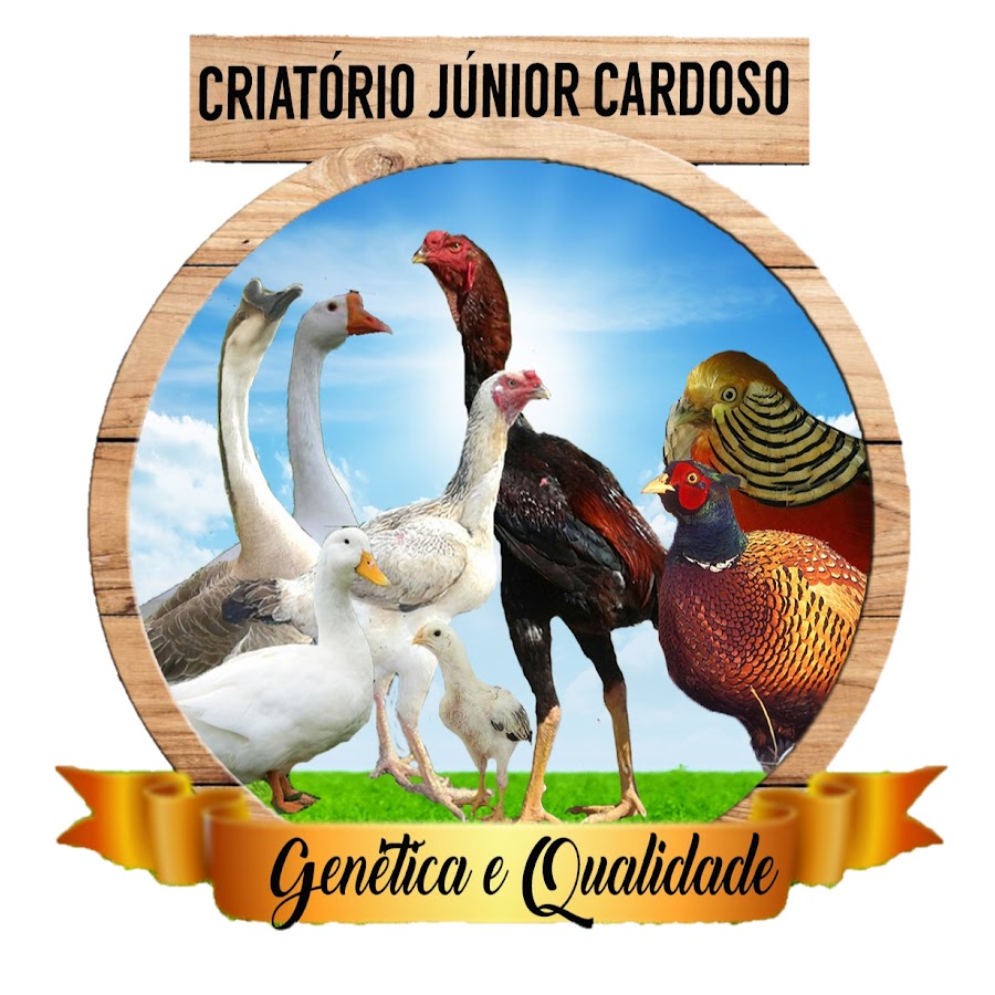 Junior Cardoso CriatÃ³rio यूट्यूब चैनल अवतार