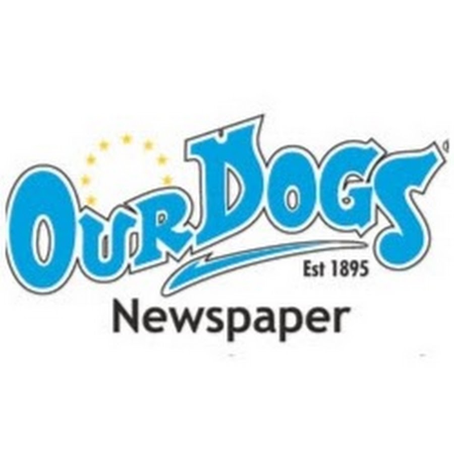 dogsontv with OUR DOGS YouTube channel avatar