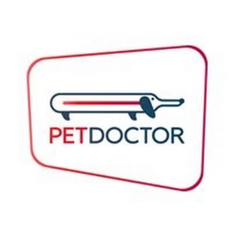 PETDOCTOR Avatar canale YouTube 