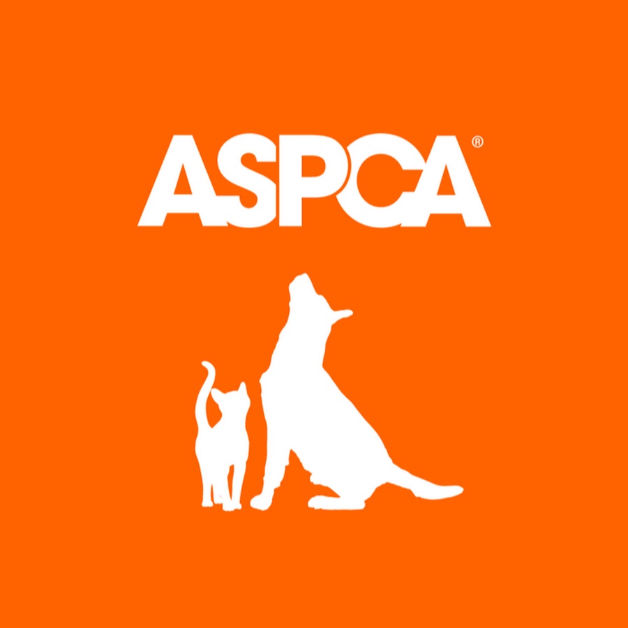 ASPCA Awatar kanału YouTube