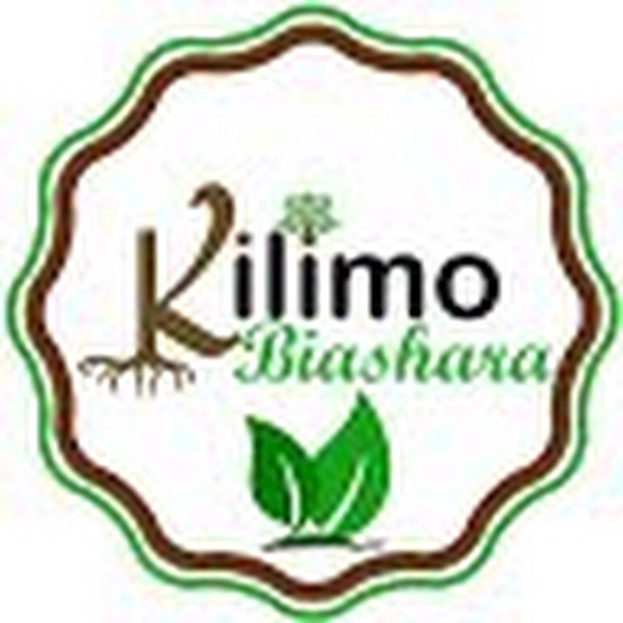 Kilimo Biashara Avatar canale YouTube 