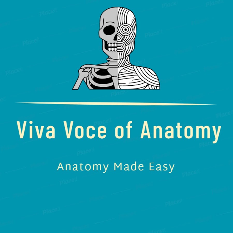 Viva Voce of Anatomy Аватар канала YouTube