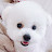 츄