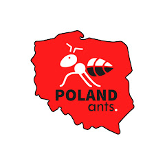 Poland Ants