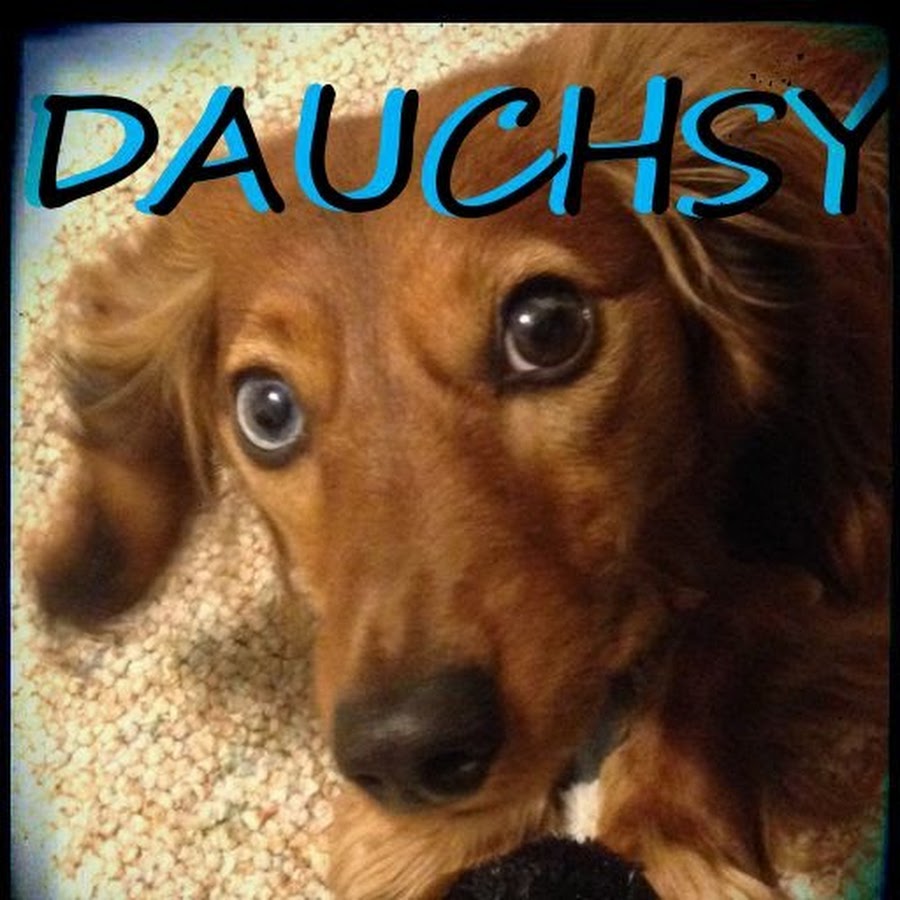 Dauchsy YouTube kanalı avatarı