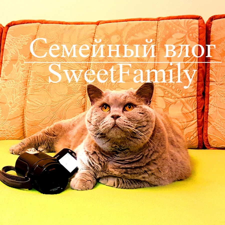 Sweet Family YouTube kanalı avatarı
