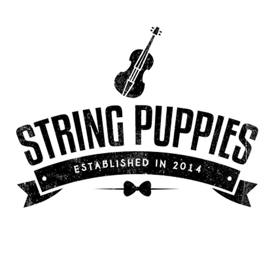 String Puppies YouTube channel avatar