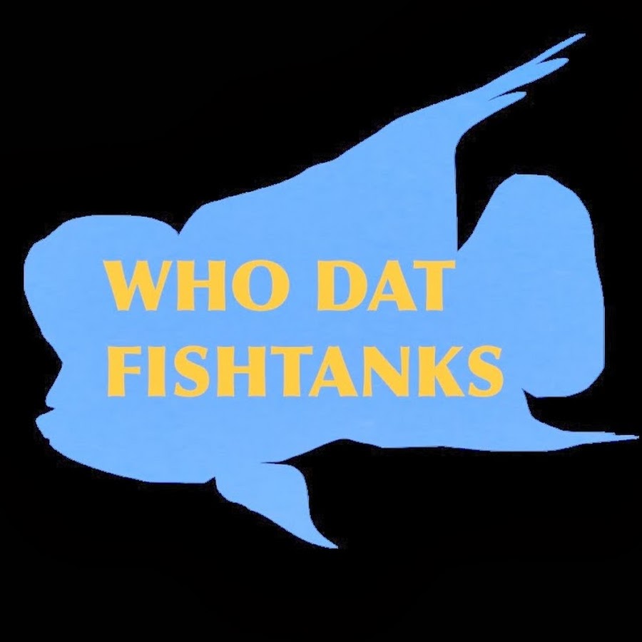 WhoDatFishtanks YouTube channel avatar