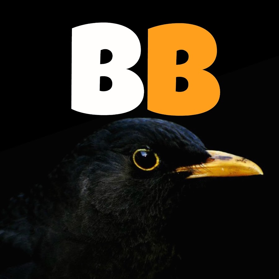 BlackBirdMusic YouTube kanalı avatarı