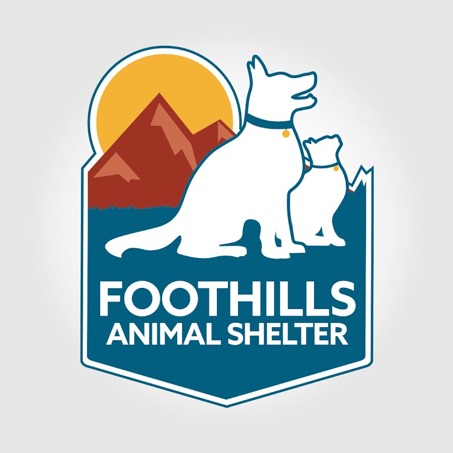 Foothills Animals