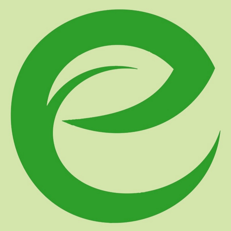 Evergreen YouTube channel avatar