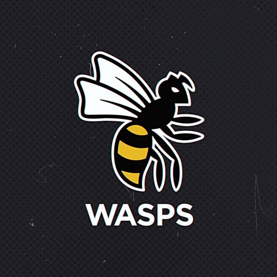 Wasps Avatar canale YouTube 