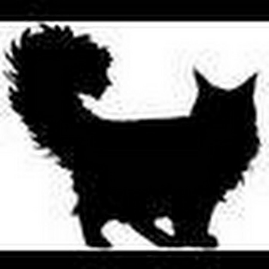 mainecooncompanion YouTube channel avatar