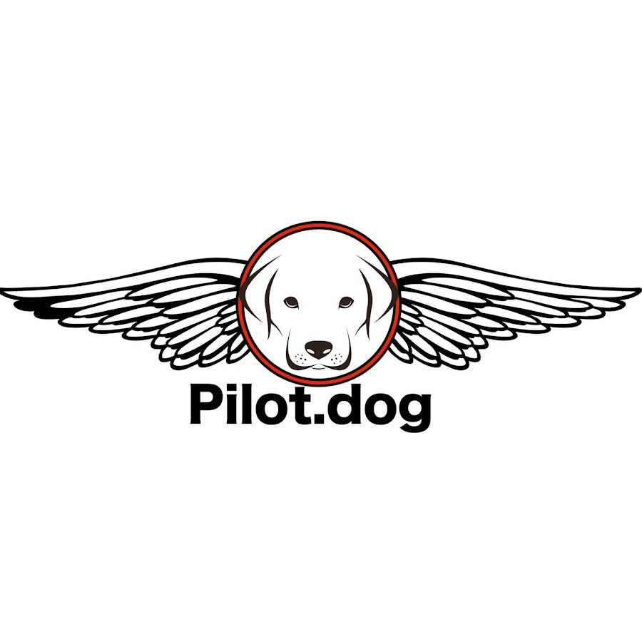 Pilot.dog YouTube channel avatar