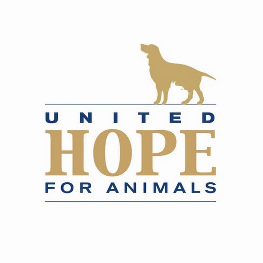 United Hope for Animals رمز قناة اليوتيوب
