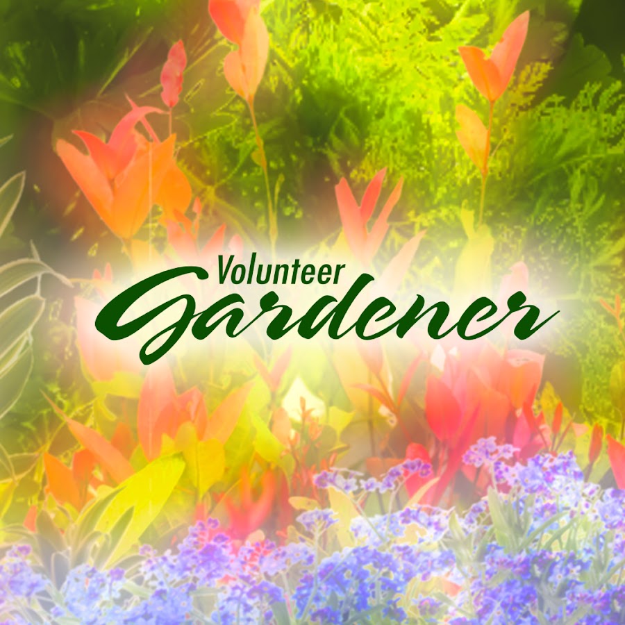 Volunteer Gardener YouTube channel avatar