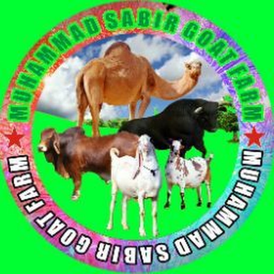 Animal Family Goat Farming Bakra Mandi Pakistan YouTube channel avatar