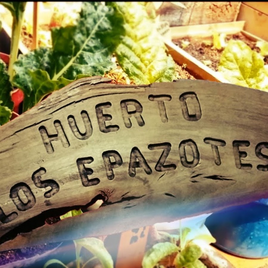 Huerto los epazotes YouTube kanalı avatarı