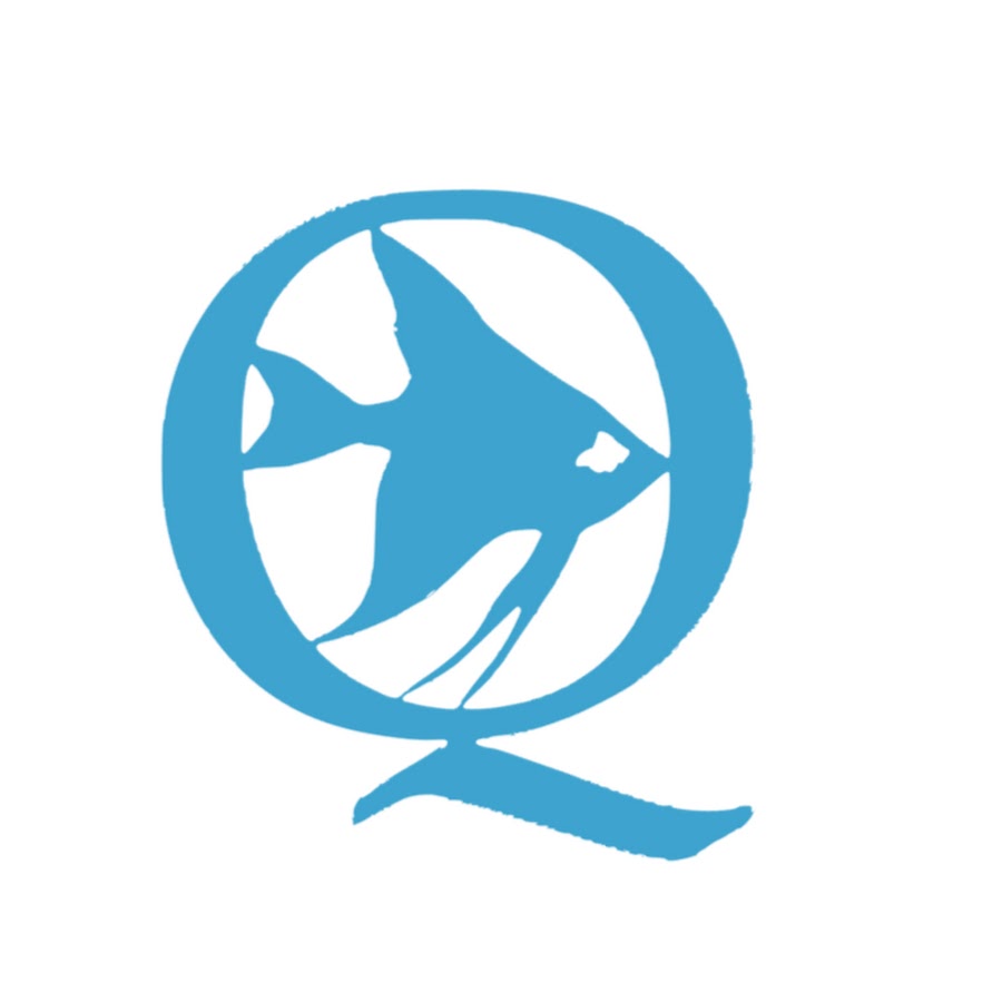 QueAquatics ইউটিউব চ্যানেল অ্যাভাটার
