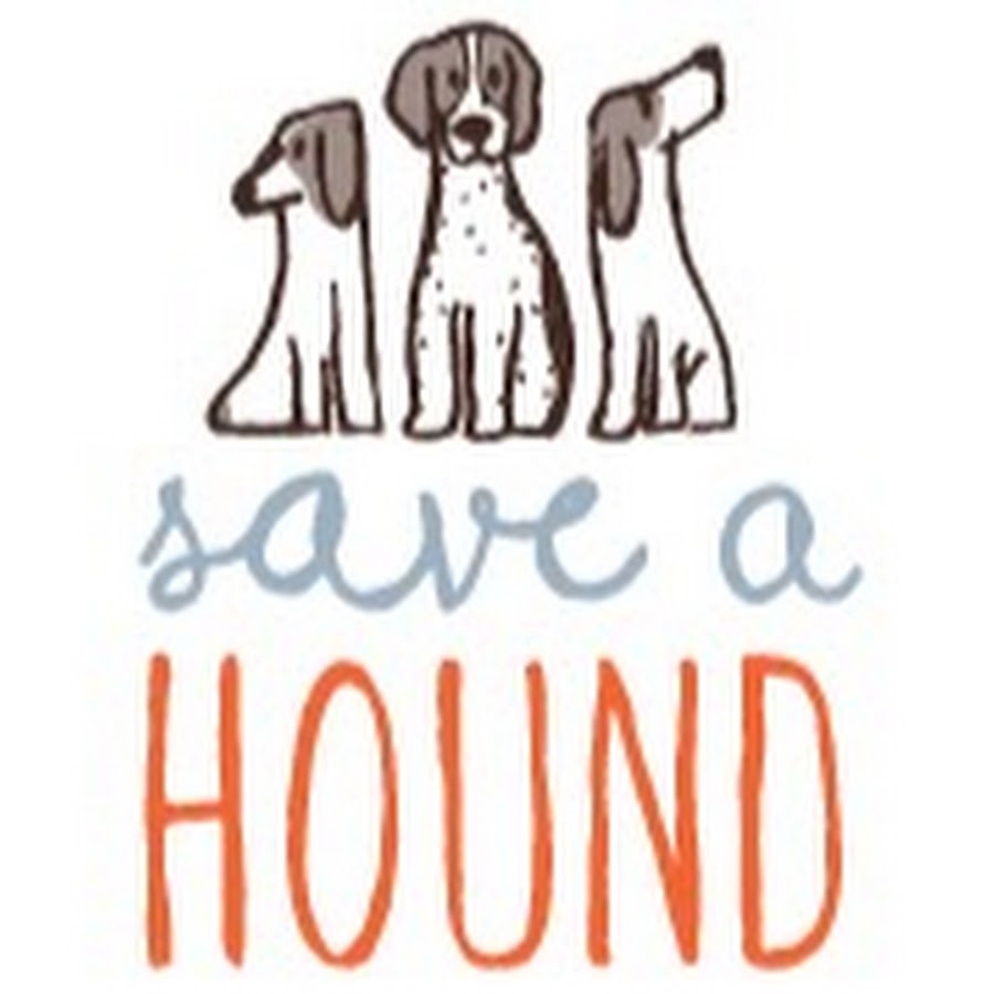 SAVE A HOUND YouTube channel avatar