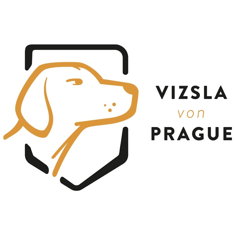 Vizsla von Prague