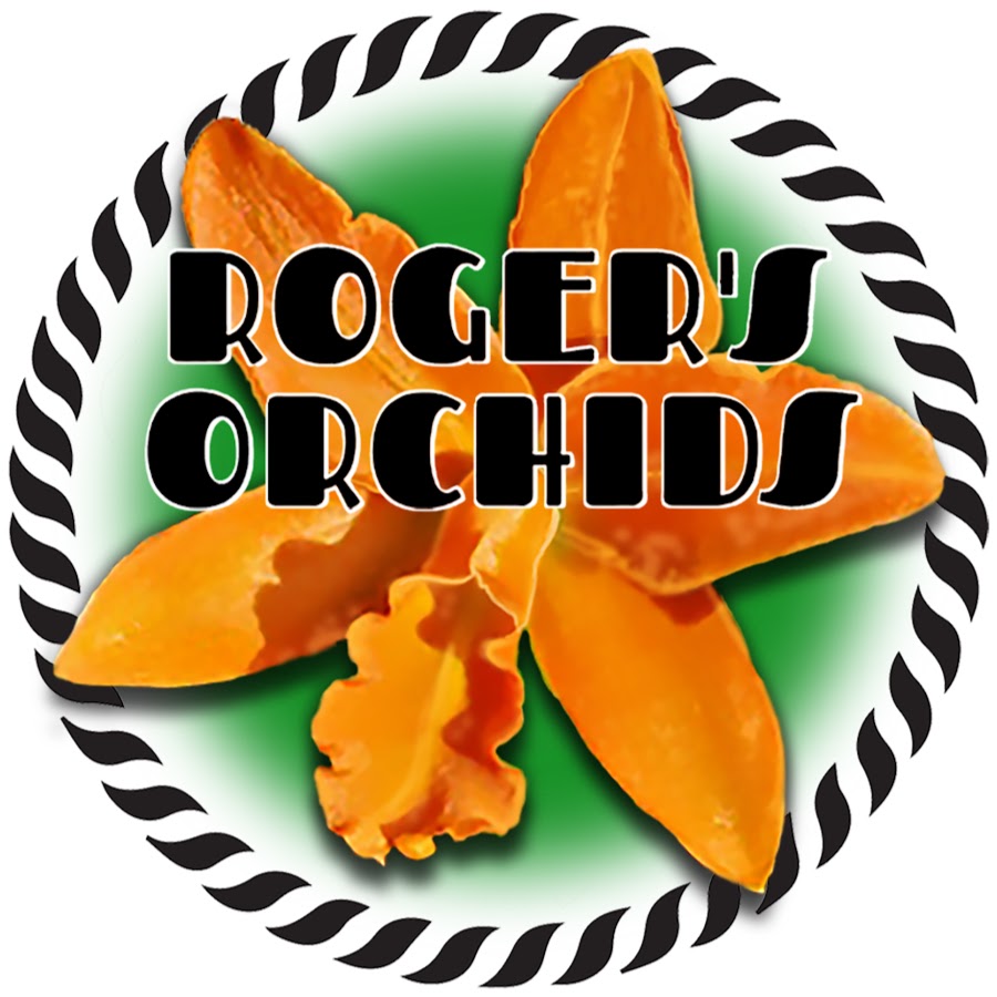 Roger's Orchids YouTube channel avatar