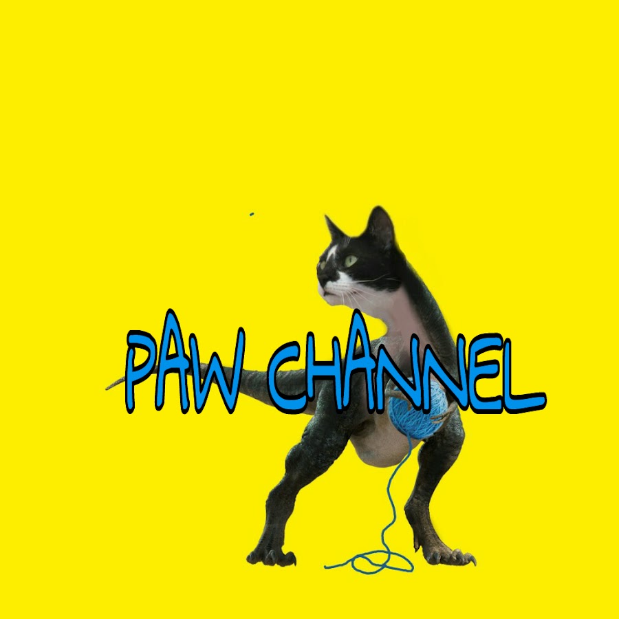PAW CHANNEL