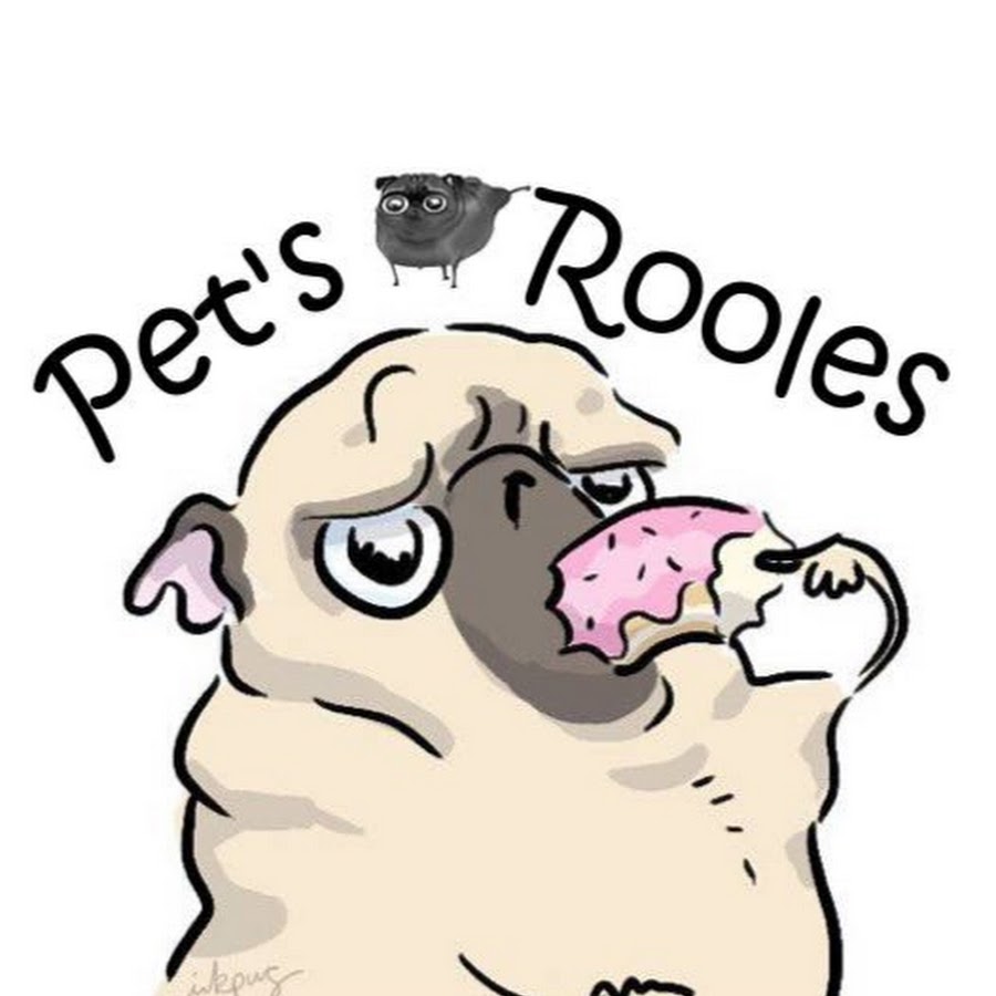 Pet's Rooles Awatar kanału YouTube