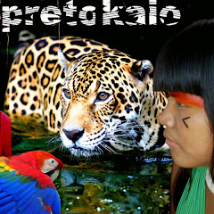 Thumbnail of related channel
