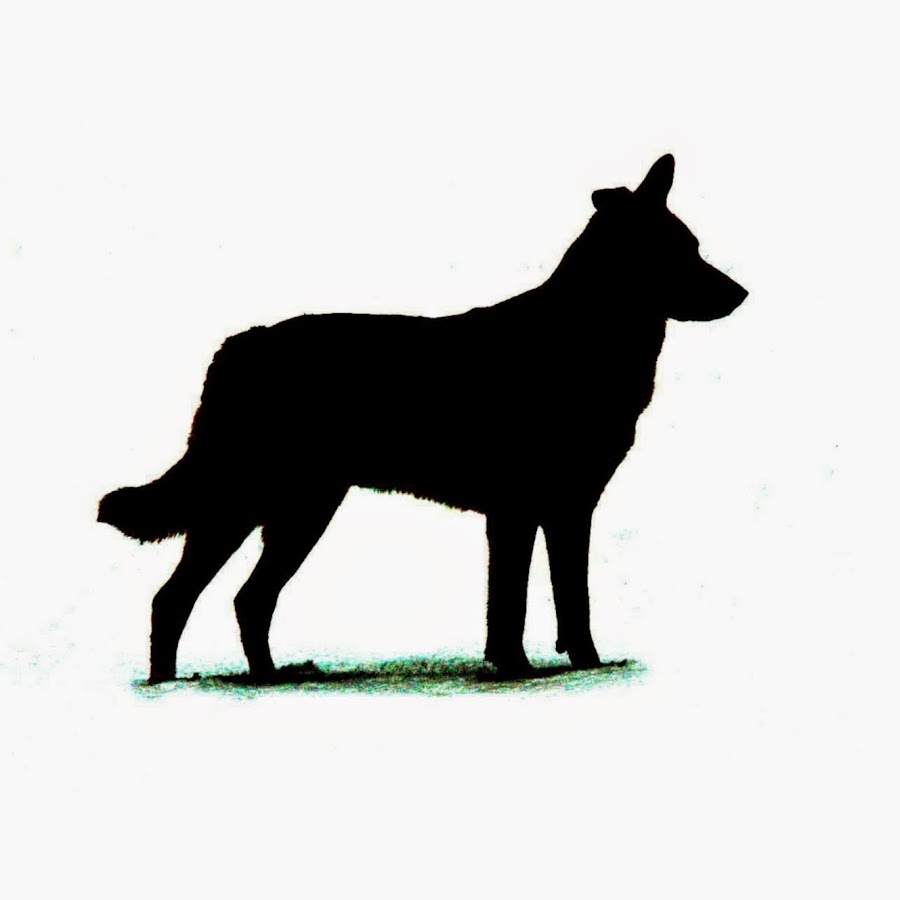 ChinookDogs YouTube channel avatar