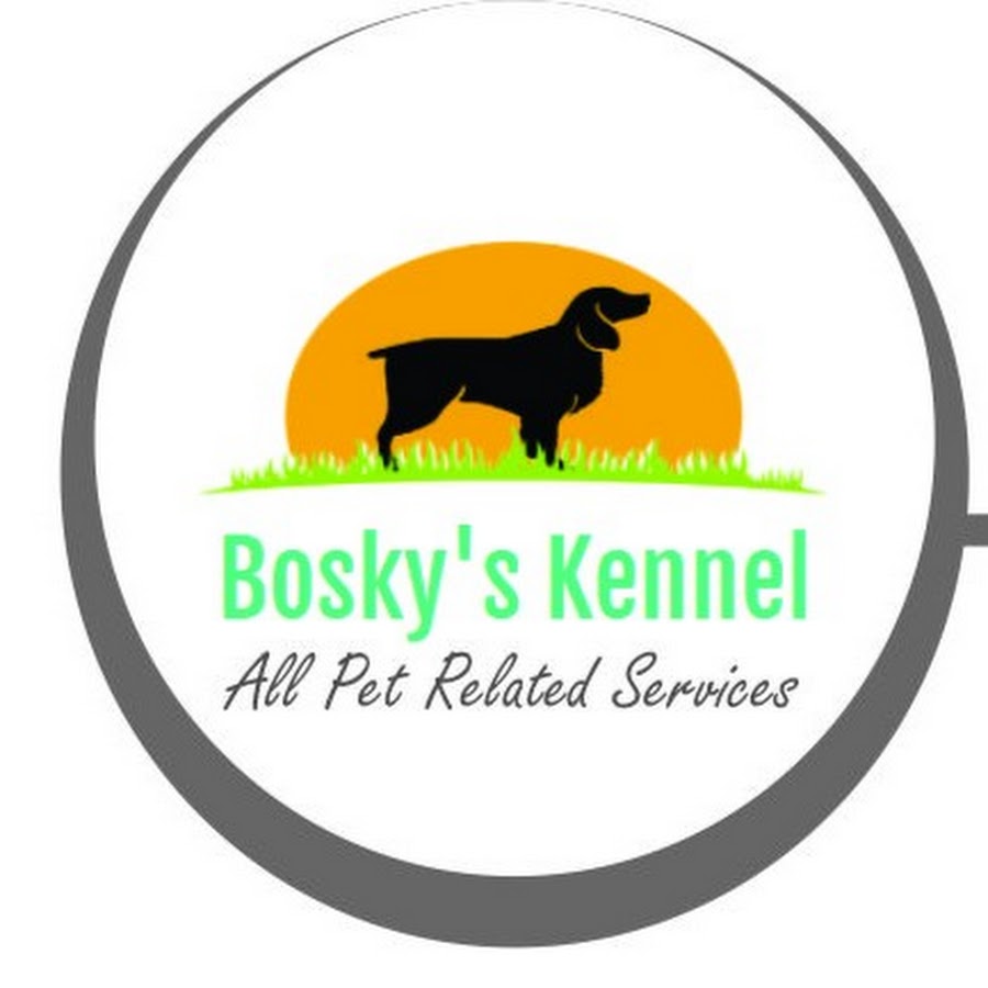 Bosky's Kennel Office YouTube channel avatar