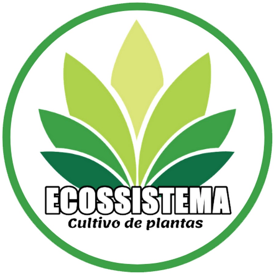 ECOSSISTEMA YouTube channel avatar