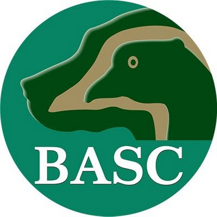 BASCfilms YouTube channel avatar