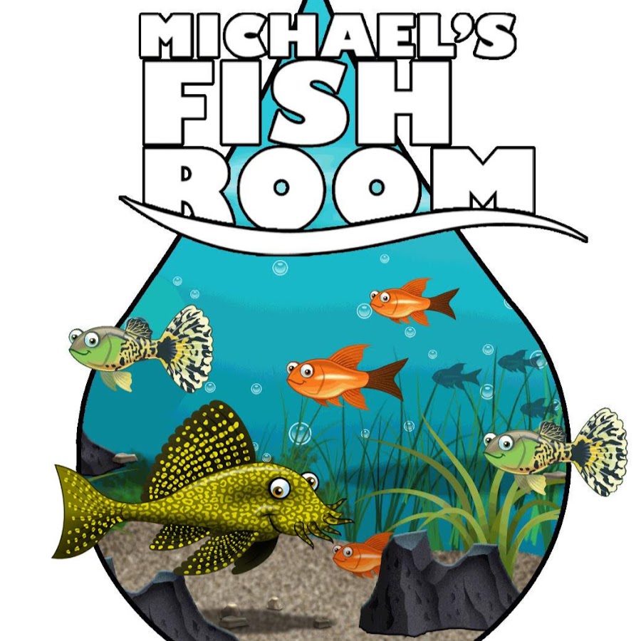 Michael's Fish Room YouTube 频道头像