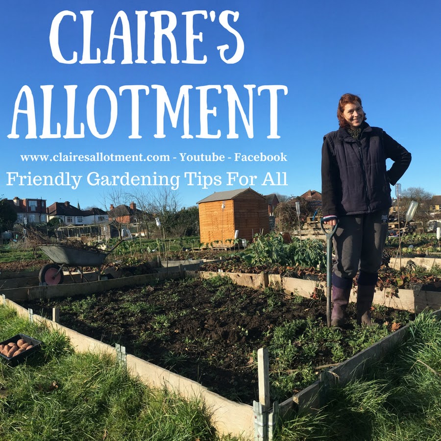 clairesallotment YouTube-Kanal-Avatar