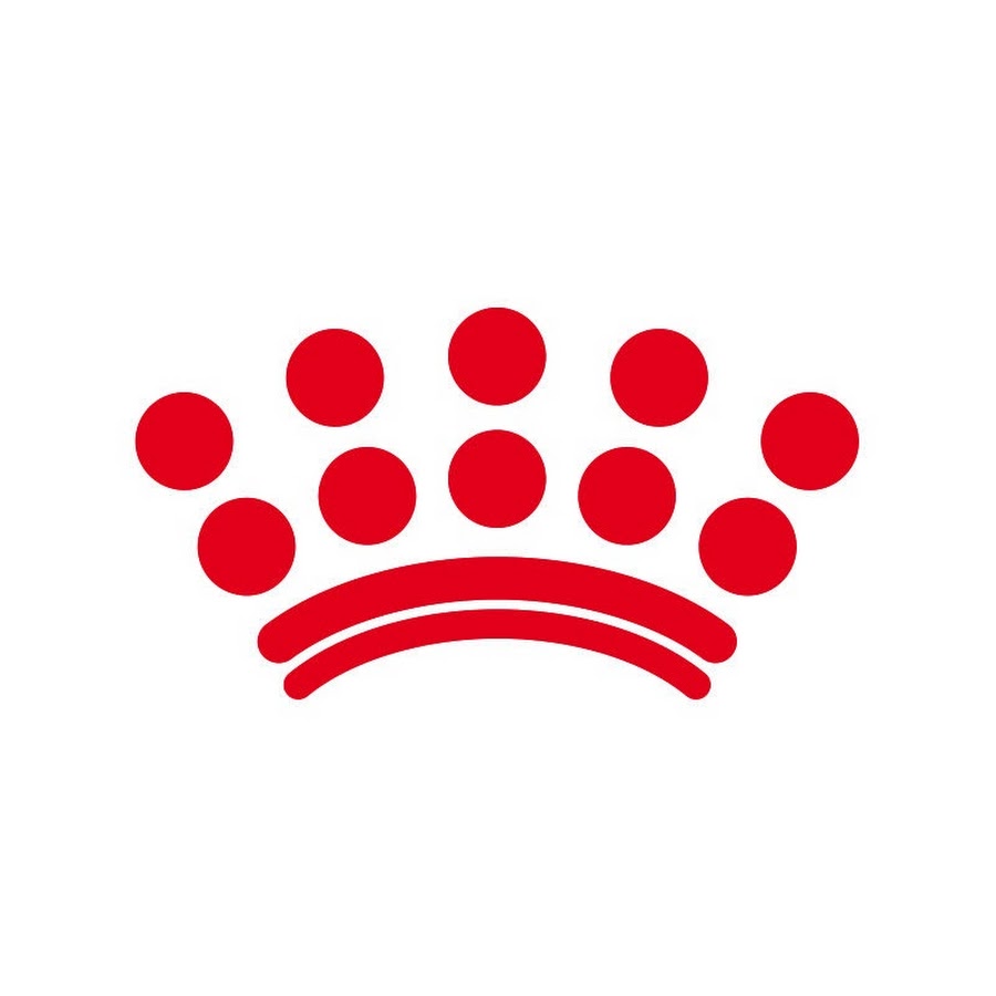 Royal Canin EspaÃ±a YouTube 频道头像