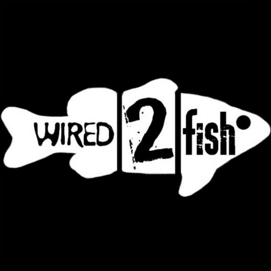 Wired2Fish YouTube channel avatar