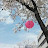 락천지명