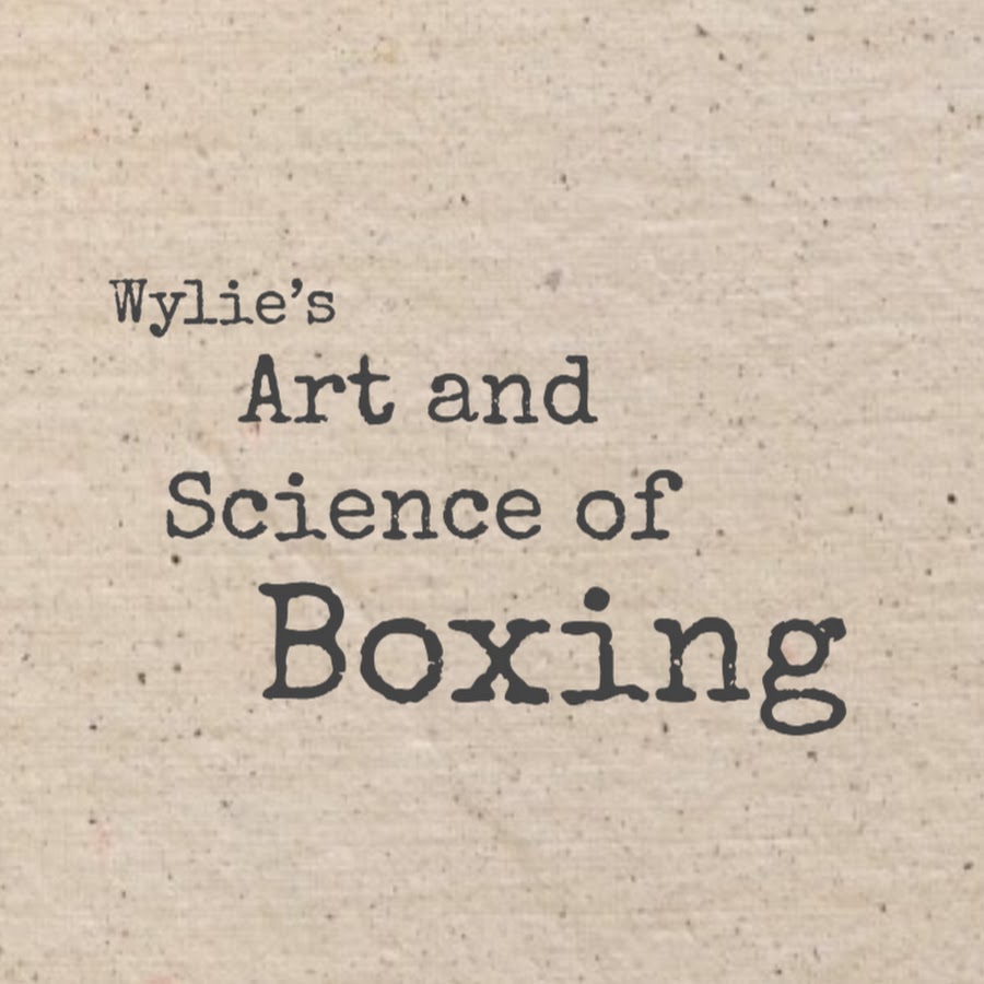 Lee Wylie Boxing Avatar channel YouTube 