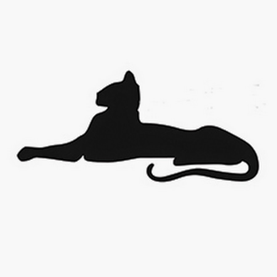 American Association of Feline Practitioners YouTube channel avatar