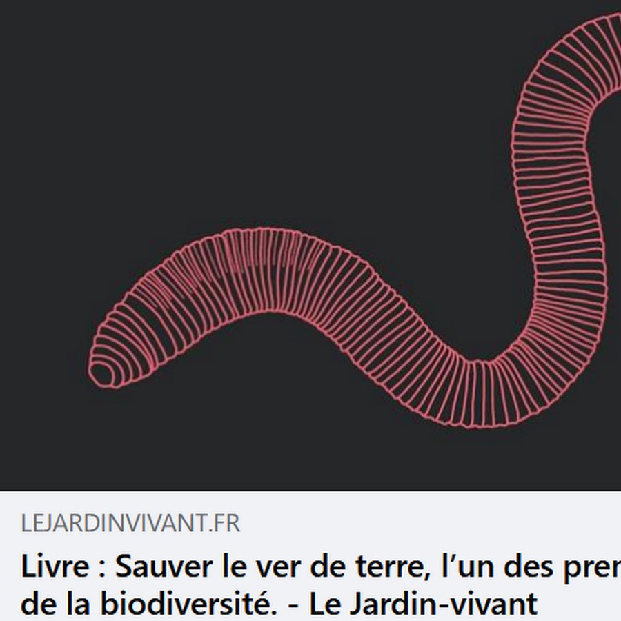 Radio Ver De Terre Youtube