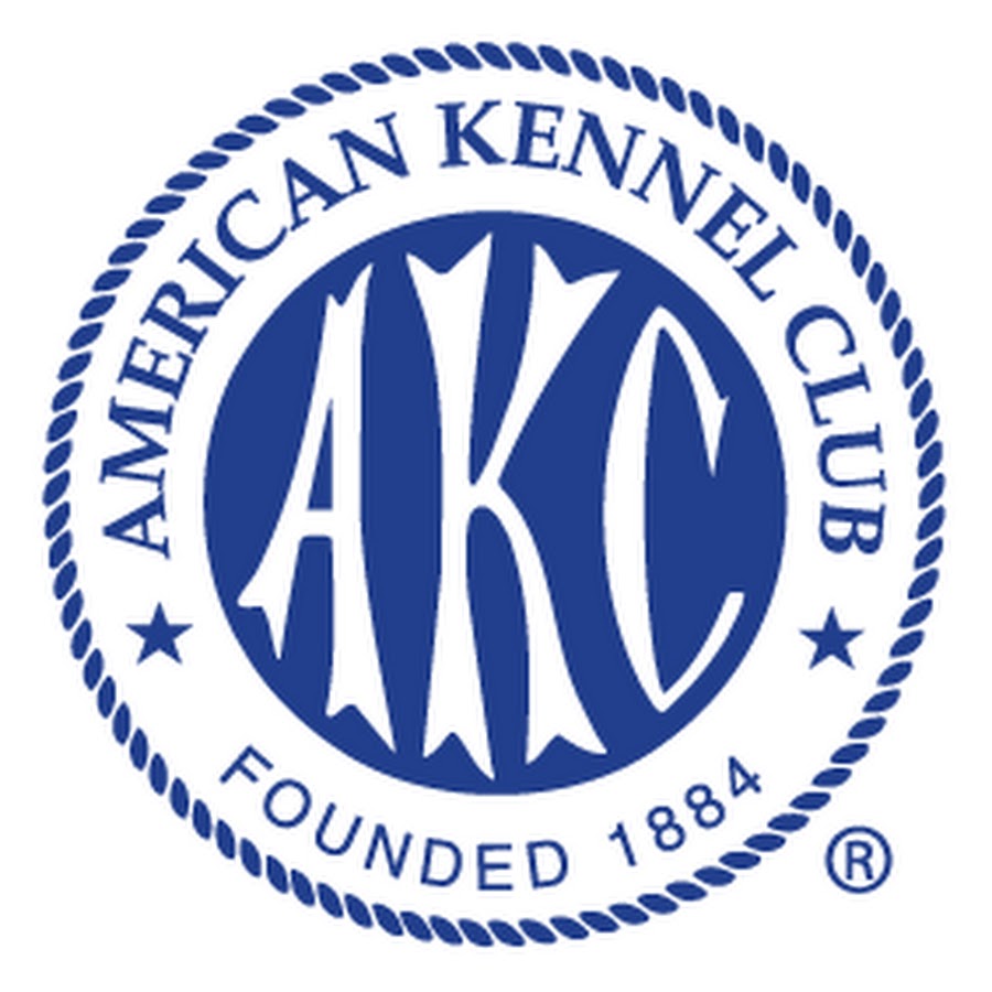 American Kennel Club YouTube channel avatar