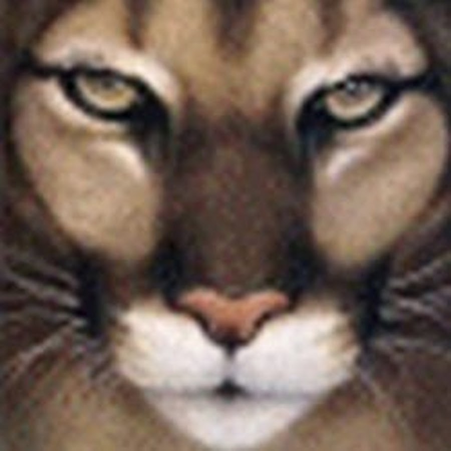 Cougar Fray Avatar canale YouTube 