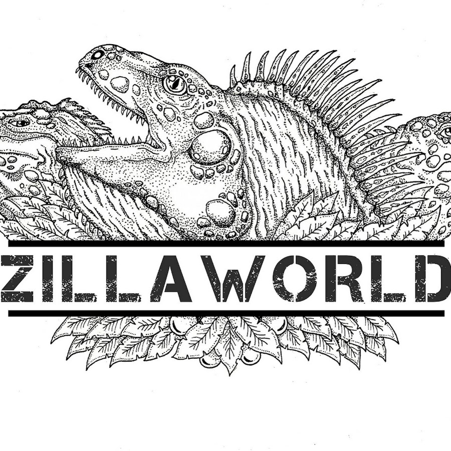 Zillaworld YouTube 频道头像