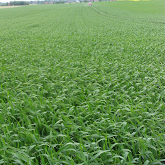 AGRO POWER