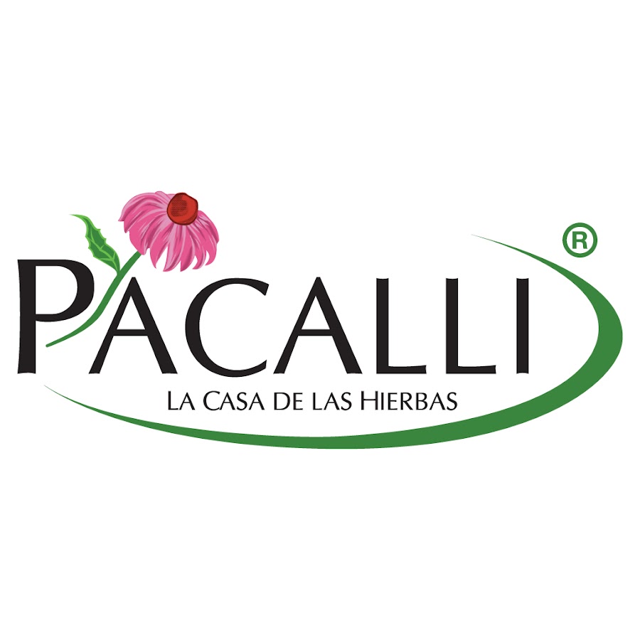 Pacalli رمز قناة اليوتيوب