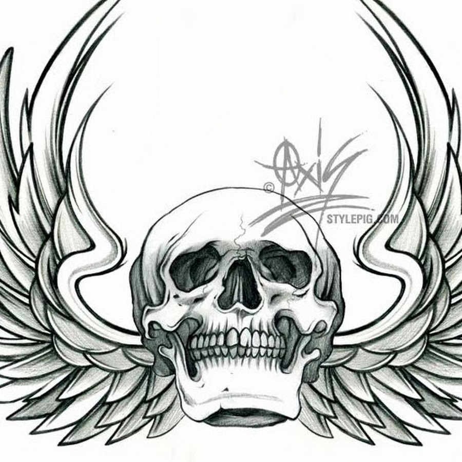 тату череп с крыльями на груди. тату череп с крыльями.