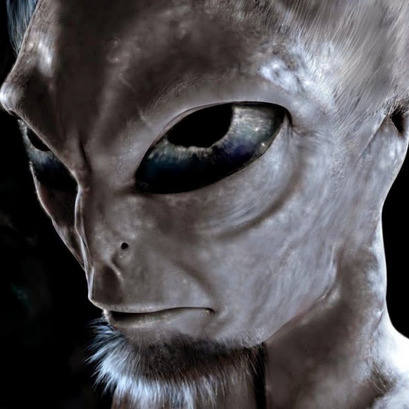 chris wong - 網紅的藏寶箱 